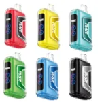 RAZ TN9000 Disposable Vape (All Flavors)